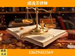 眉山-委托诉讼代理人出庭